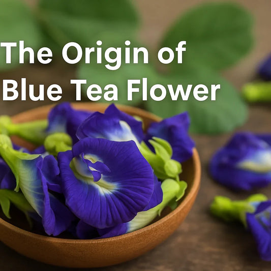 The Origin of Blue Tea Flower