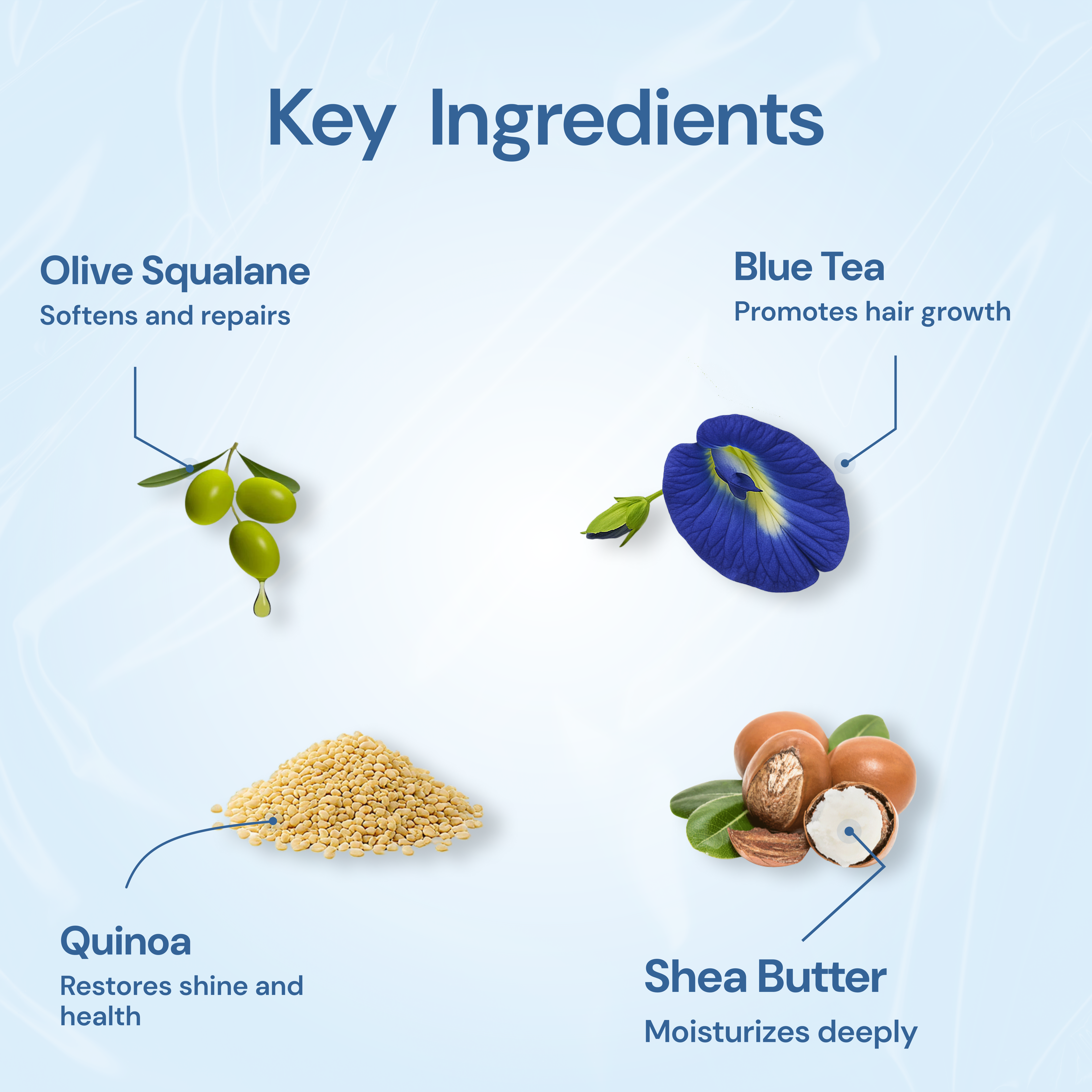 Nefol Hair Mask with Blue Tea, Shea Butter, Quinoa, and Olive Squalane - Restores Shine, Softens Hair - 300ml