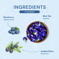Nefol Hydrating Moisturizer with Blue Tea, Blueberry & Juniper Berry - Deep Moisturization, Nourishes Skin – 100gm